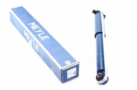 Амортизатор (задній) Ford Focus 99-04 144 726 725 0003 фото товару