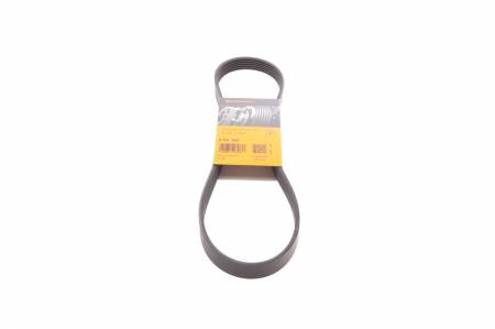 Ремінь генератора VW Golf III/IV/Bora/Skoda Octavia 1.9TDI/SDI 98-10/Mitsubishi Mirage 1.0/1.2 12- 31 6PK906 фото товару