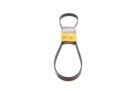 Ремінь генератора Renault Kangoo/Logan/Scenic/Talisman 1.4/1.5 dCi/1.6 03-/Mazda 3/CX-3 1.5/1.8D 15- 31 6PK1200 фото товару