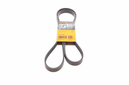 Ремінь генератора Skoda Yeti/Seat Toledo/VW Touran/Caddy 1.2TSI 09-17/Toyota Corolla 1.4/1.6i 01-08 31 6PK1693 фото товару