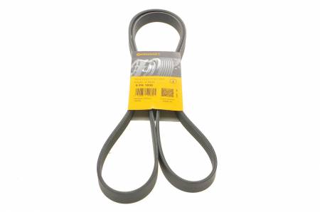 Ремінь генератора Renault Trafic 1.9dCi 01-/Opel Insignia 2.0CDTi 14-/Honda Civic 1.3 06- 31 6PK1830 фото товару