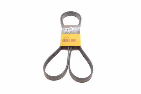 Ремінь генератора Toyota Corolla 1.4/1.6 99-02/Ford Mondeo 2.5 96-00/Renault Laguna 1.6 07-15 31 6PK1820 фото товару