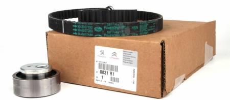 Комплект ГРМ Citroen Berlingo/Peugeot Partner/Expert 1.8 96- 5032 0831.R1 фото товару