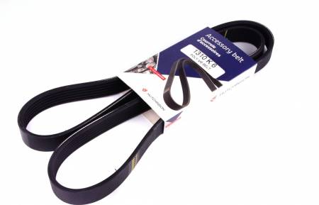 Ремінь генератора Fiat Doblo 1.3D Multijet/1.3JTD/Ford Focus 1.8/2.0 04- (6PK1310) 239 1310 K 6 фото товару