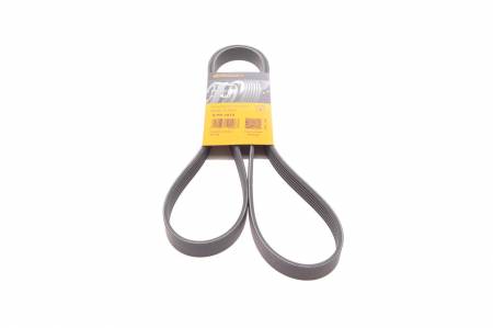 Ремінь генератора VW Crafter 2.0TDI 11-16/Opel Corsa D 1.7CDTI 06-11/Ford Fiesta 1.8DI 00-03 31 6PK1613 фото товару