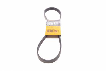 Ремінь генератора Ford Fiesta VI/Mondeo IV 08- 31 6PK1029 ELAST фото товару