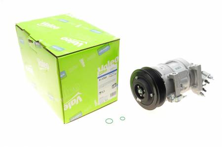 Компресор кондиціонера Citroen Berlingo/Peugeot Partner 1.6 VTi 09- 21 813201 фото товару