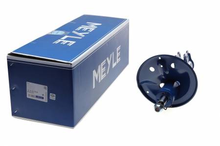 Амортизатор (передній) Toyota RAV4 00-05 (L) 144 30-26 623 0028 фото товару