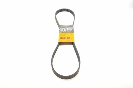 Ремінь генератора Renault Kangoo 1.5dCi 13-/Nissan Micra 1.5 DCI 16- 31 6PK1195 фото товару