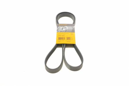 Ремінь генератора Fiat Ducato 2.2/Ford Transit 2.2 06- (+AC) 31 6PK1670 фото товару