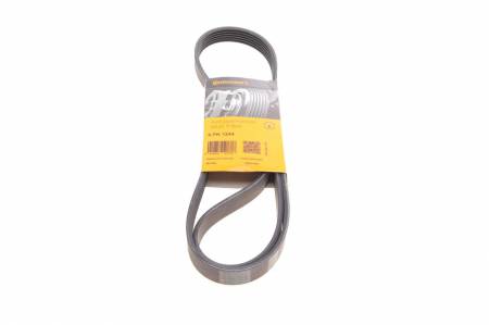 Ремінь генератора Citroen Jumpy 2.0HDI 10- 31 6PK1244 фото товару