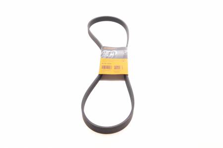 Ремінь генератора Opel Combo/Astra 1.7DTI/CDTI 01-/Ford Focus/Fiesta 1.0 18-/Toyota Venza 2.7 08-16 31 6PK1250 фото товару