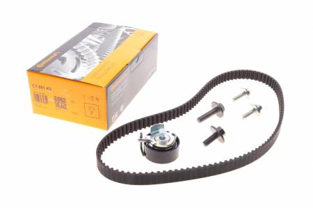 Комплект ГРМ Ford Mondeo/Focus 1.4/1.6i 03-/Volvo C30/S40/V50 1.6 05-12 (22x117z) 31 CT881K3 фото товару