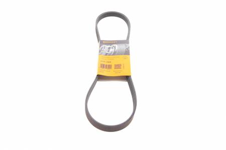 Ремінь генератора Daewoo Lanos 1.6 16V 97-/BMW 5 (E39) 3.5/4.4i 96-03 (M62) 31 5PK1005 фото товару