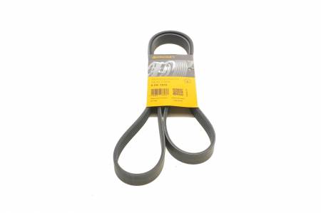 Ремінь генератора BMW 3 (E36) 3.0/3.2 94-99/Mitsubishi Pajero Sport 2.5 DI-D 4WD 08- 31 6PK1515 фото товару