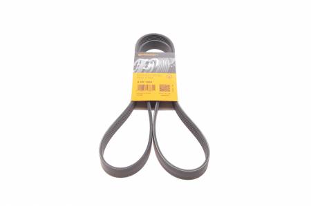 Ремінь генератора VW Golf 1.6FSI 02-06/BMW 3 (E46)/5 (E39/E60) 2.0-3.0 97-10/Ford Focus/Kuga 1.5 14- 31 6PK1538 фото товару