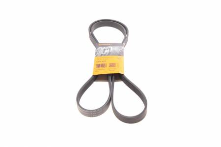 Ремінь генератора Audi A4/A6/A8/Chevrolet Aveo/Skoda Fabia/Rapid 00- 31 6PK1873 фото товару
