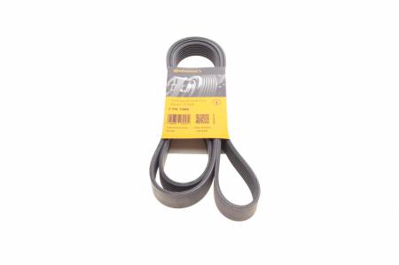 Ремінь генератора MB Sprinter 06- 31 7PK1980 фото товару