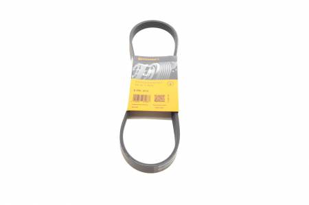 Ремінь генератора Citroen Berlingo 1.1/1.4i 96- 31 5PK813 фото товару