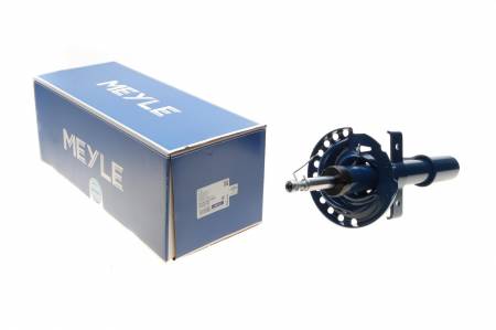 Амортизатор (передній) Renault Clio III 05- (ГАЗ) 144 16-26 623 0004 фото товару