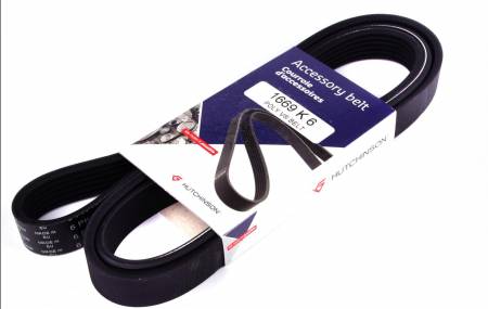 Ремінь генератора Fiat Doblo 1.3/1.6D 10-/Ducato 2.2D/Ford Transit 2.2TDCI 06- (6PK1669) 239 1669 K 6 фото товару