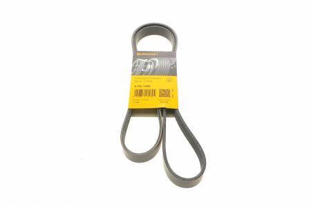 Ремінь генератора Citroen Xantia 3.0 V6 97-03/Mitsubishi L200 2.5 DI-D 05-15 31 6PK1495 фото товару