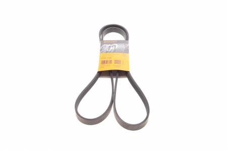 Ремінь генератора MB A-class (W168) 1.7CDI 98-01 31 5PK1720 фото товару