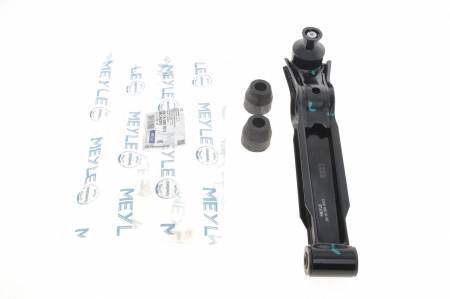 Важіль підвіски (передній/знизу) Daewoo Matiz 98-/Suzuki Alto 82-08 144 29-16 050 0012 фото товару