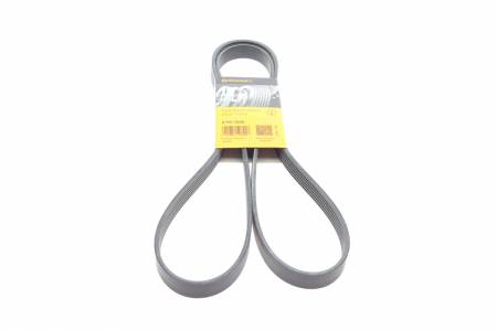 Ремінь генератора Audi A4/A6 2.4 97-05/Jeep Cherokee 2.5 86-90 31 6PK1856 фото товару