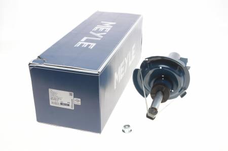 Амортизатор (передній) Ford Focus 03- (L) 144 726 623 0013 фото товару