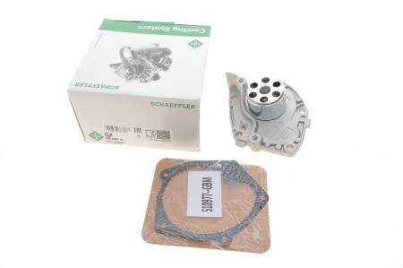 Помпа води Renault Scenic III/Megane III 1.9 dCi 08- (F9Q 872, F9Q 870) 204 538 0382 10 фото товару