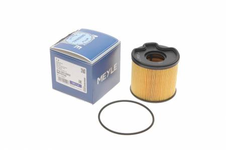 Фільтр паливний Fiat Scudo/Citroen Jumpy/Peugeot Expert 2.0JTD/HDI 144 214 323 0002 фото товару