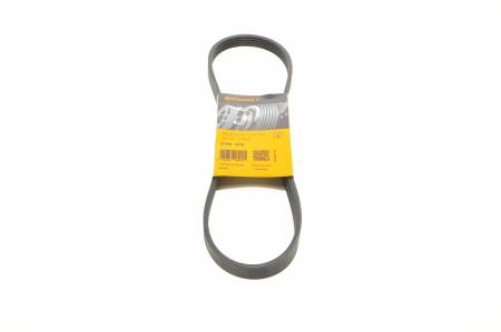 Ремінь генератора Renault Kangoo 1.2i 97-/Subaru Impreza 2.0 05-07/Nissan Pathfinder 4.0 05- 31 5PK875 фото товару