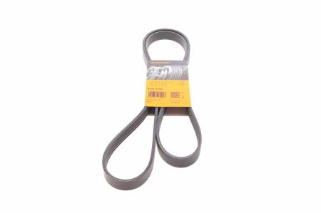 Ремінь генератора Renault Trafic/Master/Laguna/Opel Movano/Vivaro 1.9/2.5dCi/dTi 01-/Chevrolet Aveo 31 6PK1795 фото товару