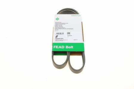 Ремінь генератора Citroen Jumpy/Peugeot Expert 2.0 BlueHDi 16- 204 FB 6APK1073 фото товару