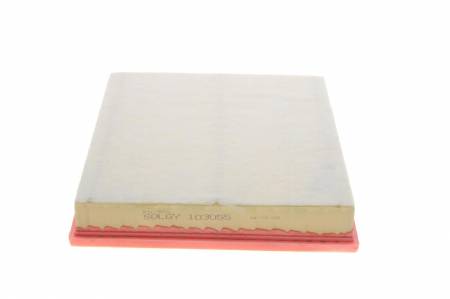 Фільтр повітряний Renault Master 1.9-2.5dCi/Mascott 2.8DTI 98- (сетка/з поролоном) (без карт.уп.) 5000 103055 фото товару