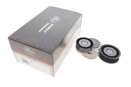 Натяжник ременя генератора Ford Focus 1.8 TDCi 04-12 33 T39024 фото товару