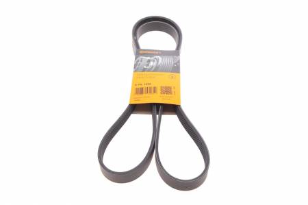 Ремінь генератора Skoda Fabia/VW Passat B6/B7 09-14/Citroen Berlingo/Peugeot 98-/BMW/Chevrolet 11- 31 6PK1698 фото товару