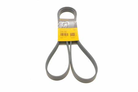 Ремінь генератора VW T4 2.4D/2.5TDI 90-03/Ford Fiesta 1.25-1.6 95-02 31 6PK1767 фото товару