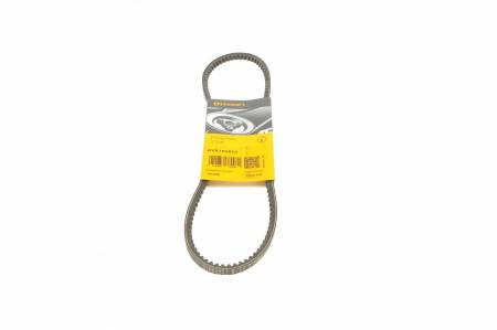 Ремінь генератора Opel Omega A/Vectra A 2.0-3.0 86-95/Ford Escort/Fiesta 1.0-1.3 76-95 31 AVX10X813 фото товару