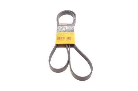 Ремінь генератора Opel Vectra/Astra G 2.0/2.2 DTI 00-05/Renault Koleos 2.5 08- 31 6PK1805 фото товару