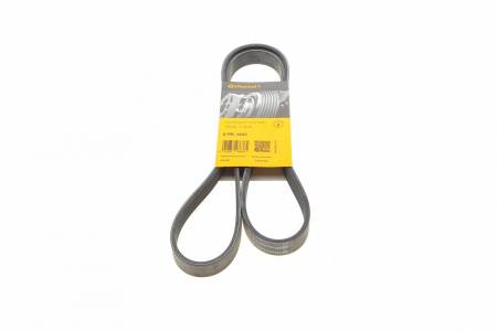 Ремінь генератора Citroen Berlingo/Fiat Scudo 1.9D (1868) 31 6PK1432 фото товару