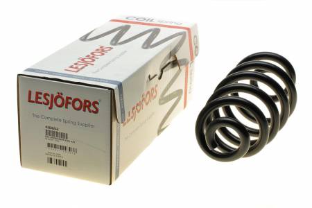 Пружина (задня) Audi A4 1.6-3.0/1.9-2.7TDI 01-08 (унив)/Seat Exeo 1.8TSI/2.0TDI 08-13 (седан) HD 175 4204242 фото товару