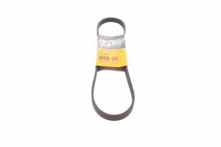 Ремінь генератора Ford Fiesta 1.8 DI 95-02/Toyota Rav4 2.0D 4WD 01-05 31 5PK884 фото товару