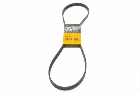 Ремінь генератора Hyundai i30/ Tucson/ ix20 1.4i-1.6 07-/ Kia Ceed/Picanto/ Soul 1.0-1.6 06- 31 6PK1256 фото товару