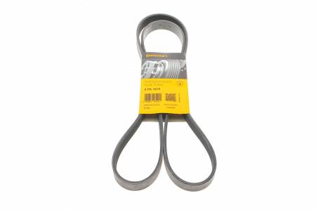 Ремінь генератора Toyota Corolla 1.4/1.6 02-06/Ford Escort 1.6/1.8 92-99/Audi A6/100 2.6-2.8 91-97 31 6PK1675 фото товару