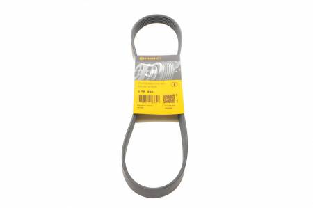 Ремінь генератора Citroen C4/C5 14-/Renault Kangoo/Clio 1.9D 97-/VW Passat B3/B4 88-97/Sharan 95-10 31 6PK894 фото товару