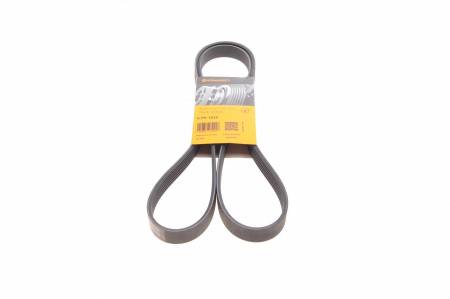 Ремінь генератора Renault Megane 2.0 96-03/Opel Astra/Insignia 1.6CDTi 15-/Audi A6/A8 2.6/2.8 94-97 31 6PK1635 фото товару