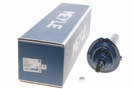 Амортизатор (передній) BMW 3 (E46) 98-05 (R) 144 326 623 0017 фото товару