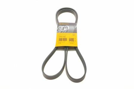 Ремінь генератора Kia Cerato/Rio 1.5-1.6 CRDI 05-/MB A-class (W169/W176) 1.8-2.2CDI 04-18 31 5PK1745 фото товару